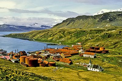  Grytviken