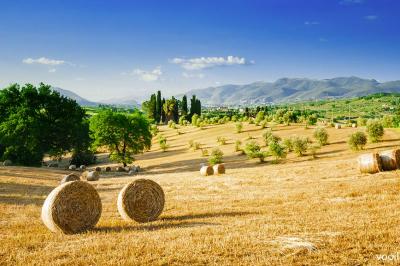  Aziende agrituristiche