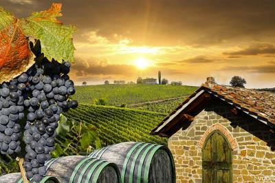  Agriturismo in Toscana