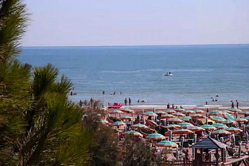  Bibione